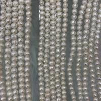 Barocco coltivate in acqua dolce Perla, perla d'acquadolce coltivata naturalmente, DIY, bianco, 8-9mm, Venduto per Appross. 37 cm filo