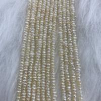 Naturliga sötvattenspärla lösa pärlor, Freshwater Pearl, Flat Round, DIY, vit, 2-3mm, Såld Per Ca 37 cm Strand