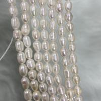 Rice ferskvandskulturperle Beads, Ferskvandsperle, Ris, du kan DIY, hvid, 5-6mm, Solgt Per Ca. 37 cm Strand