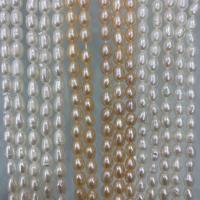 Riso coltivato in perla d'acqua dolce, perla d'acquadolce coltivata naturalmente, DIY, nessuno, 4-5mm, Venduto per Appross. 37 cm filo