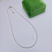 Freshwater Pearl Brass Chain Necklace, Pérolas de água doce, with cobre, with 5cm extender chain, joias de moda & para mulher, branco, comprimento Aprox 45 cm, vendido por PC