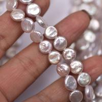 Button Kulturan Slatkovodni Pearl perle, Dugme, Prirodno & možete DIY, bijel, 8-9mm, Prodano Per 38-40 cm Strand