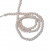 Barokní kultivované sladkovodní perle, Sladkovodní Pearl, Baroko, Přírodní & DIY, bílý, 3-4mm, Prodáno za 36-38 cm Strand