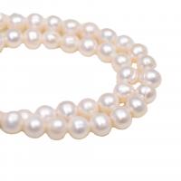 Turno coltivate in acqua dolce Perla, perla d'acquadolce coltivata naturalmente, Cerchio, Naturale & DIY, bianco, 10-11mm, Venduto per 35-37 cm filo