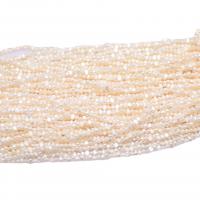 Barock odlad sötvattenspärla pärlor, Freshwater Pearl, Naturligt & DIY, vit, 3-3.5mm, Såld Per 34-36 cm Strand