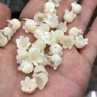 DIY Jewelry Supplies Trochus Flower polished white Sold By PC
