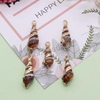 Shell Pendants, with Iron, DIY, about:8x25-10x28mm, 5PCs/Bag, Sold By Bag