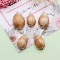Shell Pendants, with Iron, DIY, about:15x27-20x36mm, 5PCs/Bag, Sold By Bag