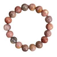 Alexa Agate Bracelet Unisex multi-colored Length Approx 7-9 Inch Sold By PC