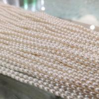Glass Pearl Beads, Rice, DIY, white, 3x4mm, Sold Per Approx 15 Inch Strand