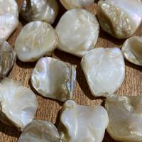 Natural Freshwater Shell Beads irregular DIY 15-20mm Approx 0.7mm Sold Per Approx 15 Inch Strand