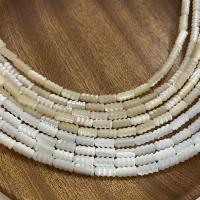 Natural Seashell Beads Trochus Carved DIY Approx 0.7mm Sold Per Approx 15 Inch Strand