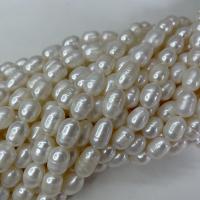 Perlas Arroz Freshwater, Perlas cultivadas de agua dulce, Bricolaje & diferentes estilos para la opción, Blanco, 9-10mm, Vendido para aproximado 37 cm Sarta