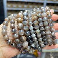 Gemstone Bracelets Elestial Skeletal Black Moonstone Round polished fashion jewelry & Unisex Length Approx 18 cm Sold By PC