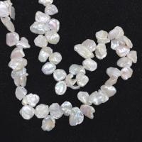 Perles nacres baroques de culture d'eau douce , perle d'eau douce cultivée, DIY & haut percé, blanc, 6-11mm, Vendu par Environ 15 pouce brin