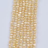 Barok ferskvandskulturperle Beads, Ferskvandsperle, du kan DIY, gylden, 5-6mm, Solgt Per Ca. 36 cm Strand