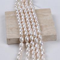 Ris odlad sötvattenspärla pärlor, Freshwater Pearl, DIY, vit, 9-10mm, Såld Per Ca 35-40 cm Strand