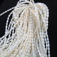 Natürliche weiße Muschelperlen, DIY & verschiedene Größen vorhanden, verkauft per ca. 37 cm Strang