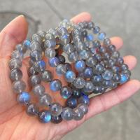 Gemstone Bracelets Moonstone Round polished fashion jewelry & Unisex grey Length Approx 18 cm Sold By PC