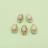 Shell Pendants, Conch, DIY, white, 9x12mm, Sold By PC