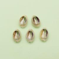 Shell Pendants, Conch, DIY, mixed colors, 14x23mm, Sold By PC