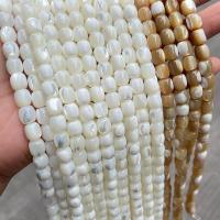 Gemstone Jewelry Beads Trochus barrel polished DIY Sold By Strand