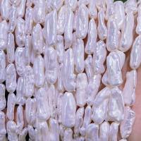 Barock kultivierten Süßwassersee Perlen, Natürliche kultivierte Süßwasserperlen, DIY, weiß, 8-20mm, verkauft per ca. 15 ZollInch Strang