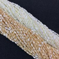 Natural Freshwater Shell Beads, DIY & different size for choice, more colors for choice, Sold Per Approx 38 cm Strand
