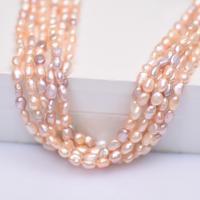 Baroko Kultūringas gėlavandenių perlų karoliukai, Gėlo vandens perlų, Barokas, Pasidaryk pats, multi-colored, 5-6mm, Parduota už Apytiksliai 35-37 cm Strand