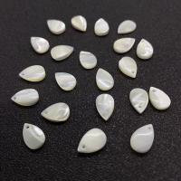 Shell Pendants Freshwater Shell Teardrop DIY white Sold By PC