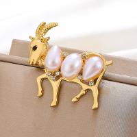 Zinc Alloy Brooches with Plastic Pearl fashion jewelry & for woman & with rhinestone nickel lead & cadmium free Sold By PC