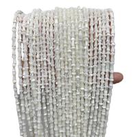 Natural Freshwater Shell Beads Trochus mushroom polished DIY Approx Sold By Strand