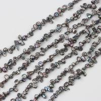 Barock kultivierten Süßwassersee Perlen, Natürliche kultivierte Süßwasserperlen, bunte Farbe plattiert, DIY & oben gebohrt, schwarz, 5-7mm, verkauft per ca. 37-40 cm Strang