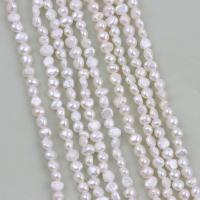 Koraliki Keishi z hodowlanych pereł słodkowodnych, Perła naturalna słodkowodna, DIY, biały, 2-3mm, sprzedawane na około 36-38 cm Strand