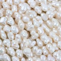 Perles nacres baroques de culture d'eau douce , perle d'eau douce cultivée, DIY, blanc, 8-10mm, Vendu par Environ 35-36 cm brin