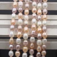 Cultured Rice Freshwater Pearl Beads, DIY, more colors for choice, 5-6mm, Sold Per Approx 36 cm Strand