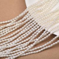 Perlas de Cristal, Perlas de vidrio, Arroz, Bricolaje & diverso tamaño para la opción, Blanco, Vendido para aproximado 40 cm Sarta