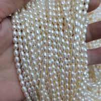 Perlas Arroz Freshwater, Perlas cultivadas de agua dulce, Bricolaje, Blanco, 3.5-4mm, Vendido para aproximado 36 cm Sarta