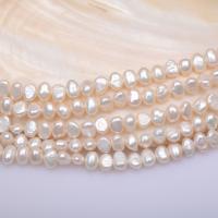 Barocco coltivate in acqua dolce Perla, perla d'acquadolce coltivata naturalmente, DIY & formato differente per scelta, bianco, Venduto per Appross. 40 cm filo