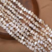 Perles nacres baroques de culture d'eau douce , perle d'eau douce cultivée, DIY, rose, 7-8mm, Vendu par Environ 40-41 cm brin