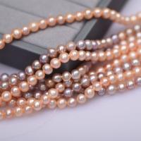 Naturalne perły słodkowodne perełki luźne, Perła naturalna słodkowodna, Lekko okrągły, DIY, dostępnych więcej kolorów, 5-6mm, sprzedawane na około 36-37 cm Strand