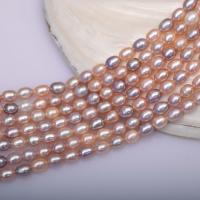 Cultured Rice Freshwater Pearl Beads, DIY, multi-colored, 5-6mm, Sold Per Approx 39-40 cm Strand