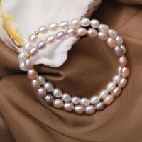 Freshwater Cultured Pearl Bracelet, Freshwater Pearl, Rice, fashion jewelry & for woman, more colors for choice, 5-6mm, Length:Approx 18 cm, Sold By PC