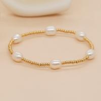 Freshwater Cultured Pearl Bracelet Freshwater Pearl with Seedbead for woman mixed colors Length Approx 24 cm Sold By PC