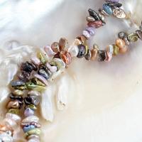 Barok ferskvandskulturperle Beads, Ferskvandsperle, du kan DIY, flerfarvede, 7-8mm, Ca. 140pc'er/Strand, Solgt Per Ca. 39 cm Strand