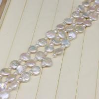 Barocco coltivate in acqua dolce Perla, perla d'acquadolce coltivata naturalmente, DIY, bianco, 14-15mm, Venduto per Appross. 37-39 cm filo