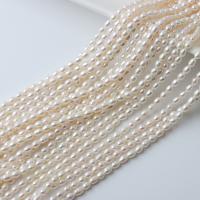 Riso coltivato in perla d'acqua dolce, perla d'acquadolce coltivata naturalmente, DIY, bianco, 3-3.5mm, Venduto per Appross. 36-39 cm filo