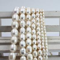 Perles d'eau douce de culture de riz, perle d'eau douce cultivée, DIY & normes différentes pour le choix, blanc, Vendu par Environ 38 cm brin