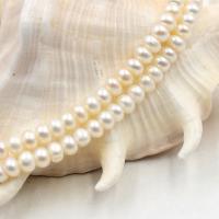 Naturalne perły słodkowodne perełki luźne, Perła naturalna słodkowodna, liczydło, DIY, dostępnych więcej kolorów, 5-5.5mm, sprzedawane na około 40 cm Strand