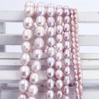 Cultured Rice Freshwater Pearl Beads DIY purple Sold Per Approx 38 cm Strand